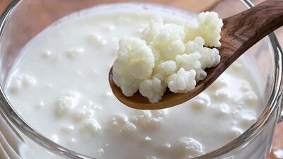 نقش «کفیر» در معکوس‌سازی روند پیری