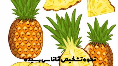  نحوه تشخیص آناناس رسیده و ترفند های تازه نگه داشتن آن