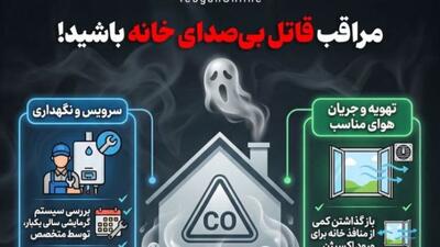  مراقب قاتل بی‌صدای خانه باشید!