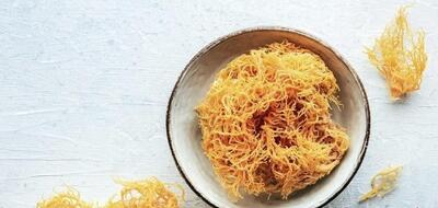  آیا روند سلامتی با جلبک دریایی (Sea Moss) واقعاً ارزشمند است؟ فواید و عوارض آن را بشناسید