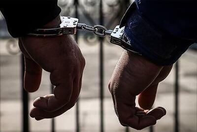  توقیف ۴۵ تن نهاده دامی در سمنان