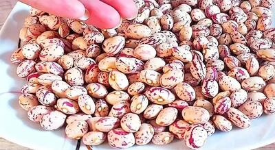  راز لعاب دار شدن خوراک لوبیای خوشمزه، غذای گیاهی و سالم !