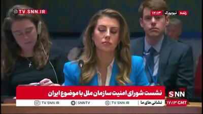 ببینید/ کنایه معنادار ایروانی به نشست شورای امنیت