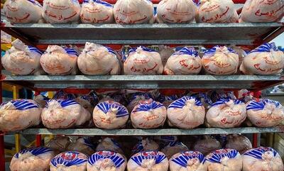 قیمت مرغ امروز ۲ دی ۱۴۰۴