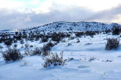 بر اساس پایش‌های ماهواره‌ای، ۲۲ درصد ایران پوشیده از برف شد