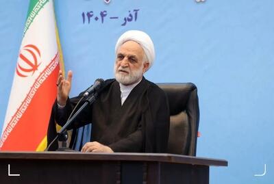 اژه‌ای: می‌خواهم طوری با فساد برخورد کنم که مفسدان ماست‌هایشان را کیسه کنند!