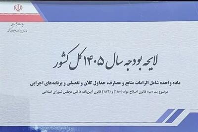 سهم بخش‌های مختلف در لایحه بودجه ۱۴۰۵