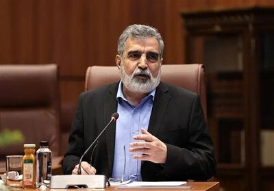 کمالوندی: تمرکز ما بر همکاری هسته‌ای با روسیه است