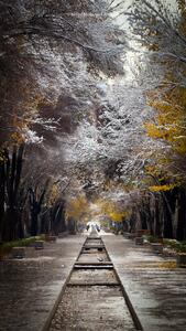 تصویری شگفت انگیز از اولین سپیدپوشی فصل نو