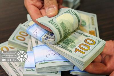 ۱۲ میلیارد دلار واردات نهاده در یک سال؛ ریشه فشار ارزی در کجای کشاورزی است؟