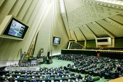 مجلس ادعای تنش نمایندگان با فرزین را تکذیب کرد