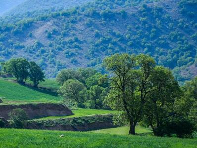  جنبش ملی سرمایه‌گذاری در سپیدان/ نگین سبز فارس آماده پرواز اقتصادی و گردشگری می‌شود