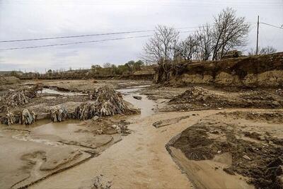  تخریب ۶۰۰۰ کیلومتری از جاده‌های عشایری فارس در سیل اخیر/ تلفات انسانی و دامی نداشتیم