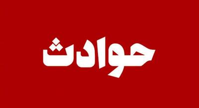  سقوط هواپیمای مکزیکی در تگزاس با ۵ کشته | جهان نیوز