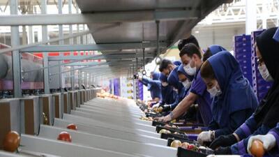 رکود، نیروی کار را فراری داد؛ تولیدکنندگان برای افزایش مزد به صف شدند