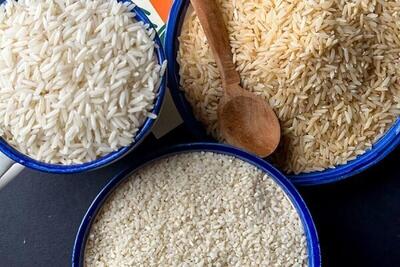 سکوت تعزیرات در برابر سونامی قیمت برنج؛ دولت سیاست آزادسازی را کلید زد