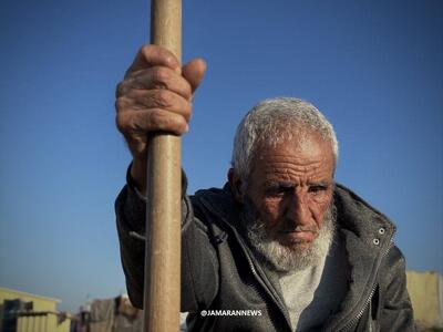  این پیرمرد فلسطینی ۱۸۰۰۰ شهید را به خاک سپرده است + عکس‌ها
