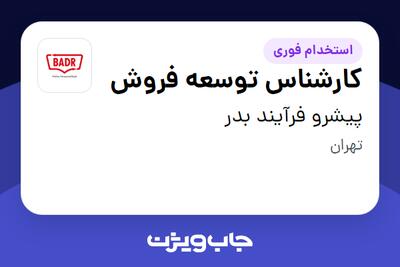  استخدام کارشناس توسعه فروش در پیشرو فرآیند بدر
