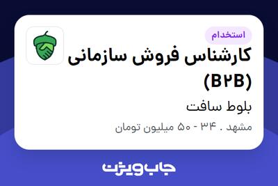  استخدام کارشناس فروش سازمانی (B2B) در بلوط سافت