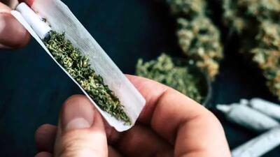 عوارض تکان دهنده مخدر گل/ دسترسی به این مخدر خطرناک در کشور کمتر از ۱۰ دقیقه است