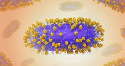 مطالعات دانشمندان دانمارکی؛ ویروس سرماخوردگی و خطر ابتلا به این بیماری‌ها را زیاد می‌کند