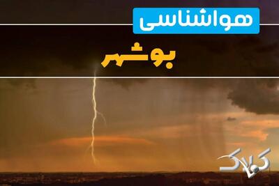 وضعیت جوی بوشهر ۳ دی ۱۴۰۴ / آب‌وهوای بوشهر فردا چگونه خواهد بود؟ - مجله اینترنتی کولاک