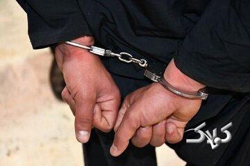 ۵۲ کیلو خرما به صرف شیشه - مجله اینترنتی کولاک