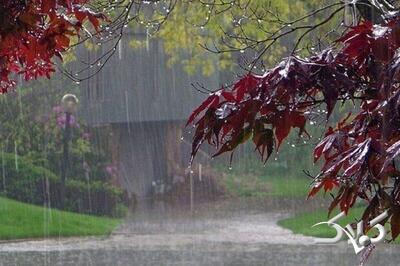 خبر مهم هواشناسی وسط دود و دم | دادهای ۹ مدل هواشناسی درباره بارش کشور | بارش ها تا این تاریخ نرمال می شود - مجله اینترنتی کولاک