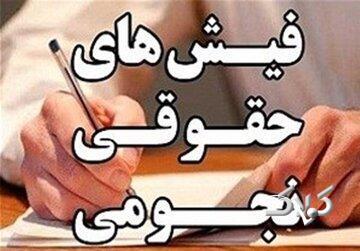 وقتی مدیر یک شرکت کوچک 602 میلیون تومان حقوق می گیرد، دستمزد مقام بالاترش چقدر است؟ - مجله اینترنتی کولاک