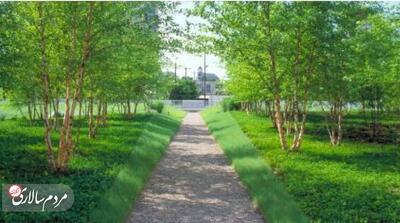 خبر مهم زاکانی درباره تبدیل ۵ پادگان تهران به فضای سبز - مردم سالاری آنلاین