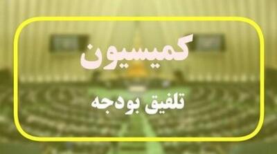 ترکیب ۴۵ نفره کمیسیون تلفیق بودجه ۱۴۰۵ مشخص شد - مردم سالاری آنلاین