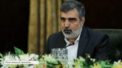 تمرکز ما بر همکاری هسته‌ای با روسیه است - مردم سالاری آنلاین