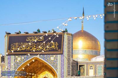 عکس/ حرم امام رضا(ع) سیاهپوش شد