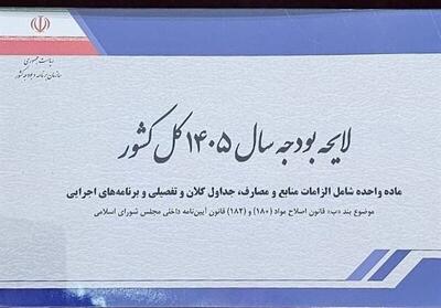 پیشنهاد کاهش ۷۰ درصدی درآمد فروش نفت در بودجه ۱۴۰۵