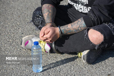 مالخر حرفه‌ای لوازم خودرو در شهرری به دام پلیس افتاد