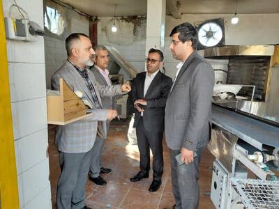  ۵ نانوایی متخلف در عسلویه پلمب شد