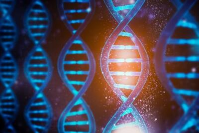 نقشه ۴ بعدی ژنوم جدید انسان راز  DNA را فاش کرد