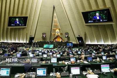 بررسی بازار کالاهای اساسی و نوسانات ارزی در نشست غیرعلنی مجلس