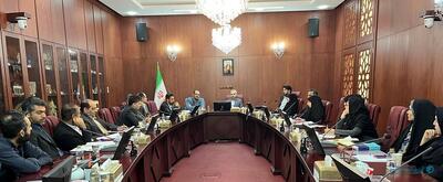 کارگروه محیط‌های آزمون با ادامه فعالیت موقت پلتفرم‌های آنلاین طلا موافقت کرد - پیوست