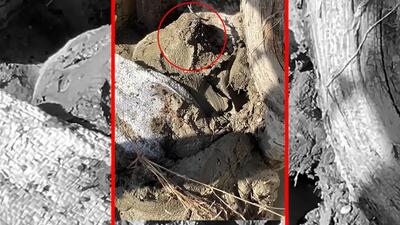 صدای مردم از روستای مهرگی از دل سیل: کمک! + فیلم