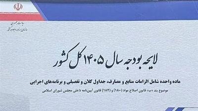 نرخ ارز مبنای گمرکی تعیین شد/  هر دلار 85 هزار تومان