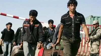 خروج یک میلیون و ۶۰۰ هزار تبعه غیرقانونی و تأثیر آن بر بازار کار