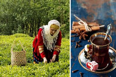  نوشیدن چای در ایران از 150 سال پیش مد شد! قبلش ایرانیان قهوه می‌نوشیدند
