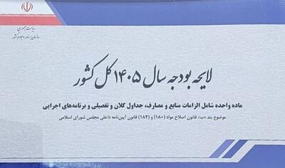  رونمایی از ریال جدید/ پول توجیبی دولت در سال آینده چقدر است؟