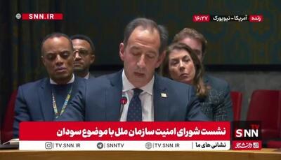  نماینده آمریکا: هدف قرار دادن نیرو‌های حافظ صلح سازمان ملل در دارفور به شدت محکوم شد