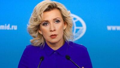  ماریا زاخارووا: شاید این انتقام حیوانی غربی‌ها به خاطر «خوک‌های کوچک» باشد؟