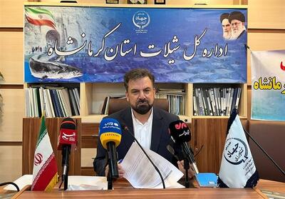 تولید 25 هزار تن انواع آبزیان در کرمانشاه و توسعه صادرات به عراق - تسنیم