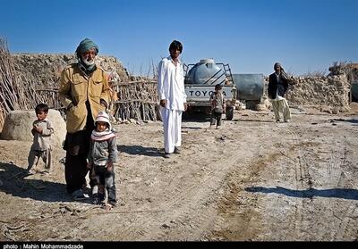 یادداشت| «دامدار خُرد» آخرین سنگر معیشت و امنیت در سیستان - تسنیم