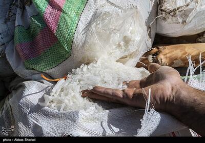 کشف 52 کیلو خرمای آغشته به مخدر شیشه در غرب تهران - تسنیم