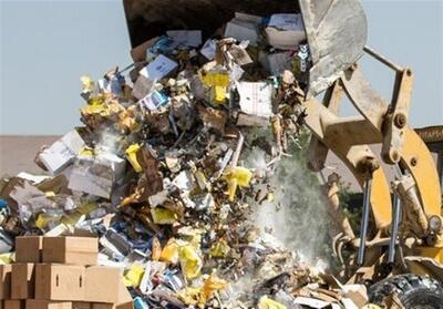 امحای 24 میلیارد ریال کالای قاچاق در بوشهر - تسنیم